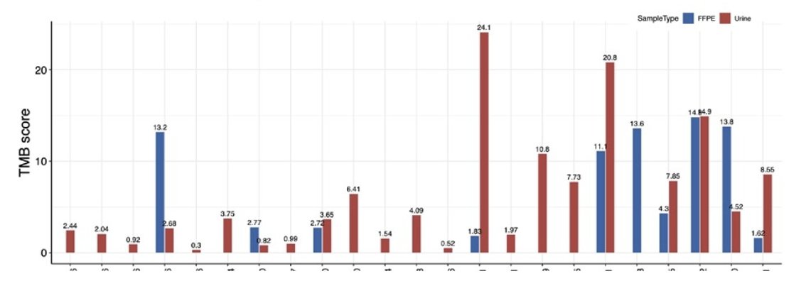 median urinary tumor mutational burden of baseline samples