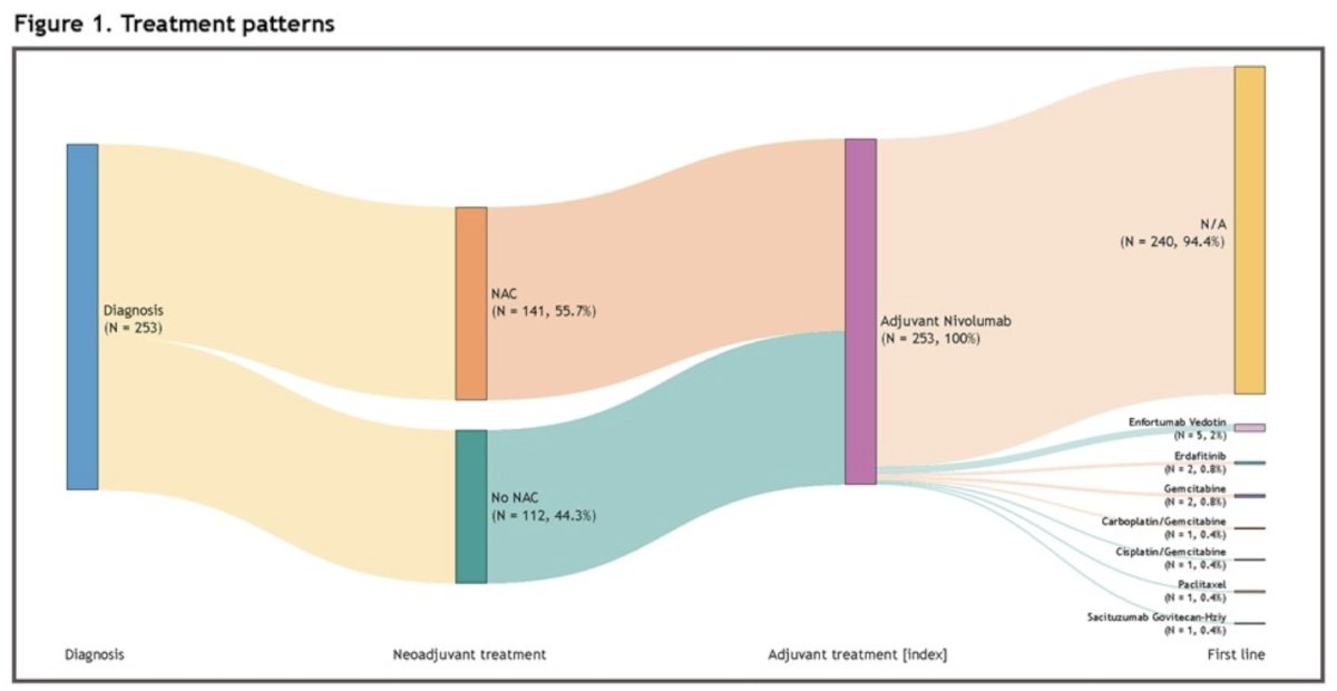 CheckMate-274 trial treatment patterns