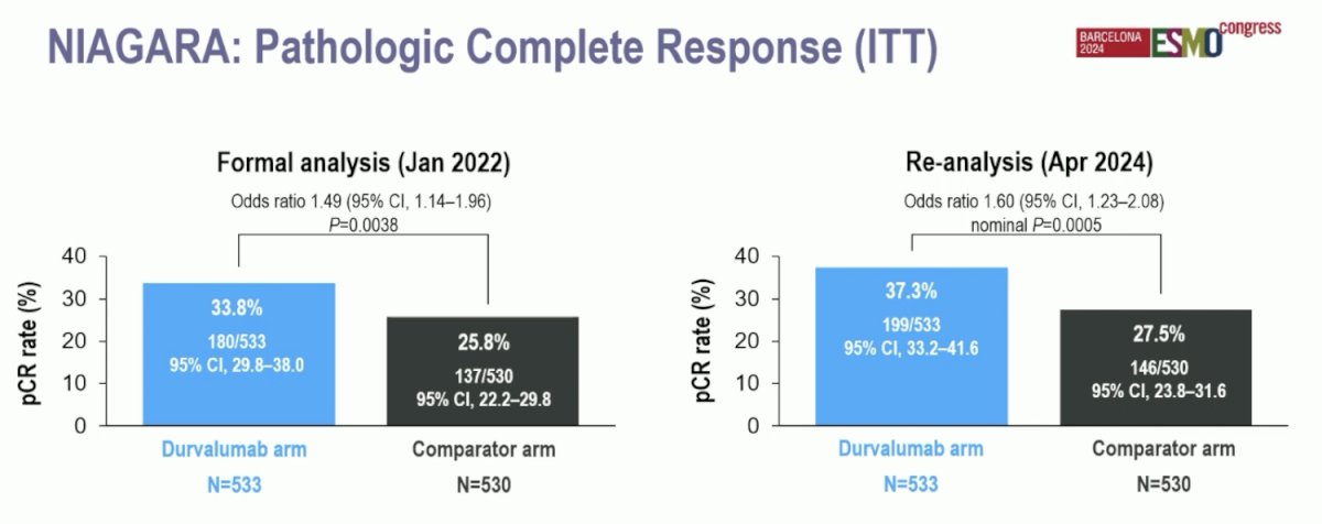 NIAGARA pathologic complete response rate