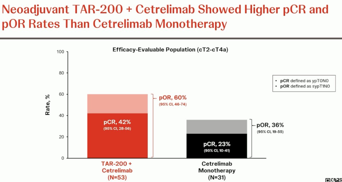 The pCR in the combination arm was 42%, and the pathologic objective response (pCR + ≤ypT1N0) was 60%. The corresponding proportions in the cetrelimab monotherapy arm were 23% and 36%, respectively.