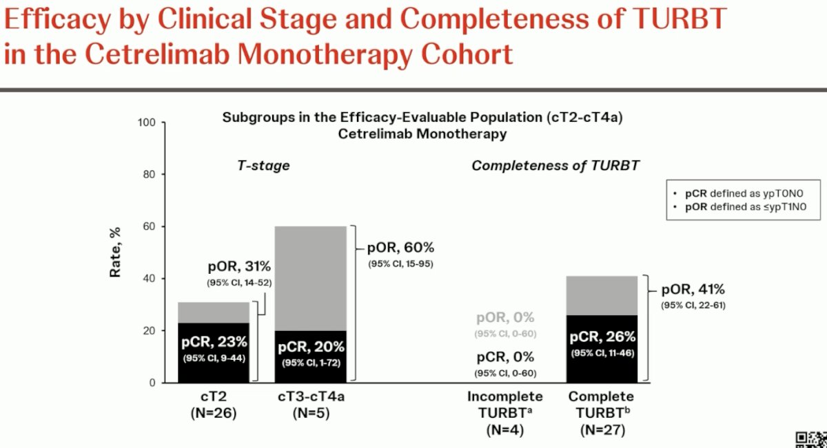  corresponding rates by clinical stage and TURBT completeness in the cetrelimab monotherapy arm