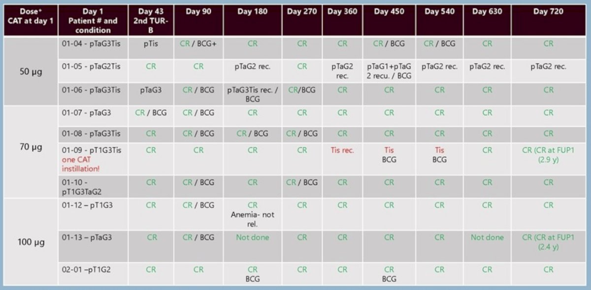 ESMO 2024: Trifunctional Anti-EpCAM/CD3 bsAb Catumaxomab Intravesically ...