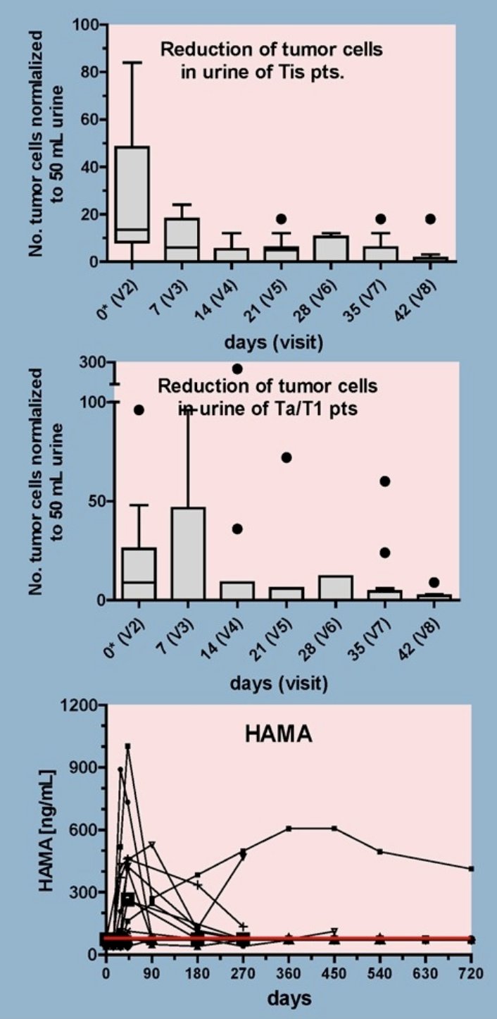 Reduction of tumor cells in urine and HAMA response