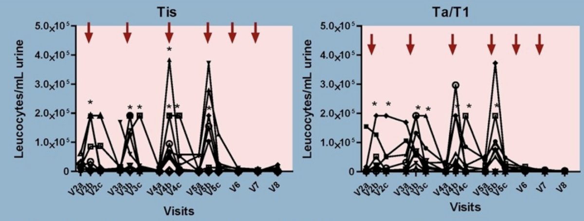 Increase of leukocytes in urine