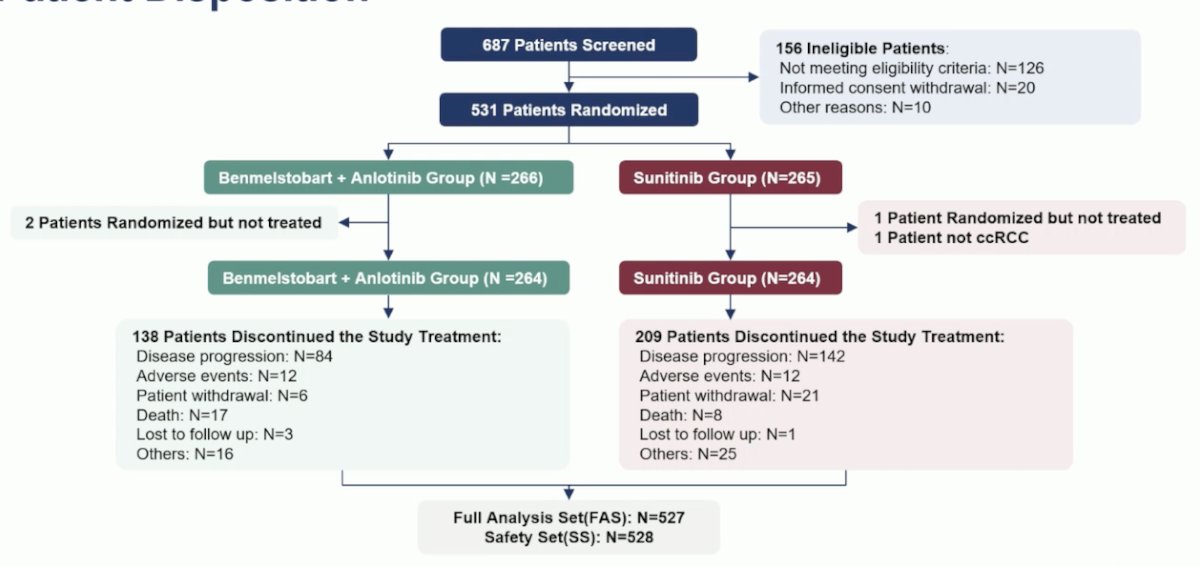 264 received study treatment in the Benmelstobart + Anlotinib arm, and 264 in the Sunitinib arm.