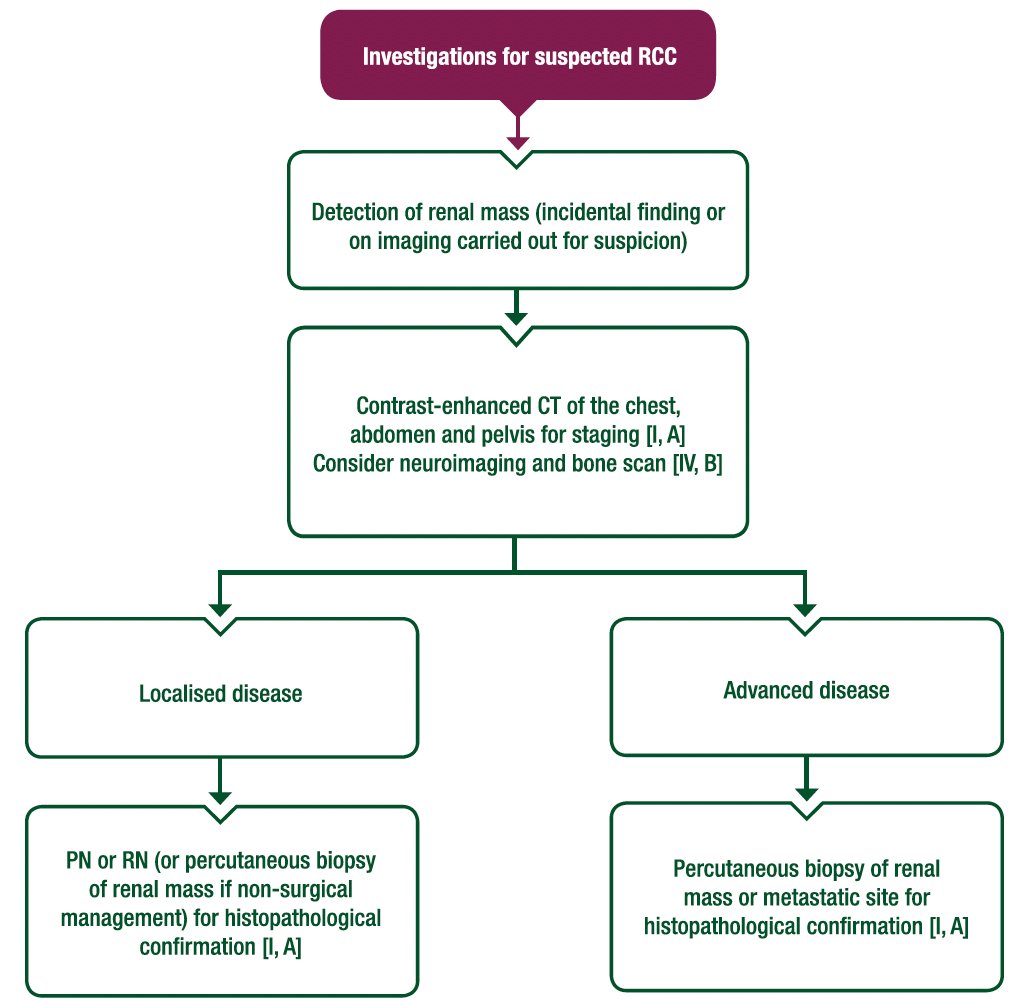  2024 ESMO guidelines