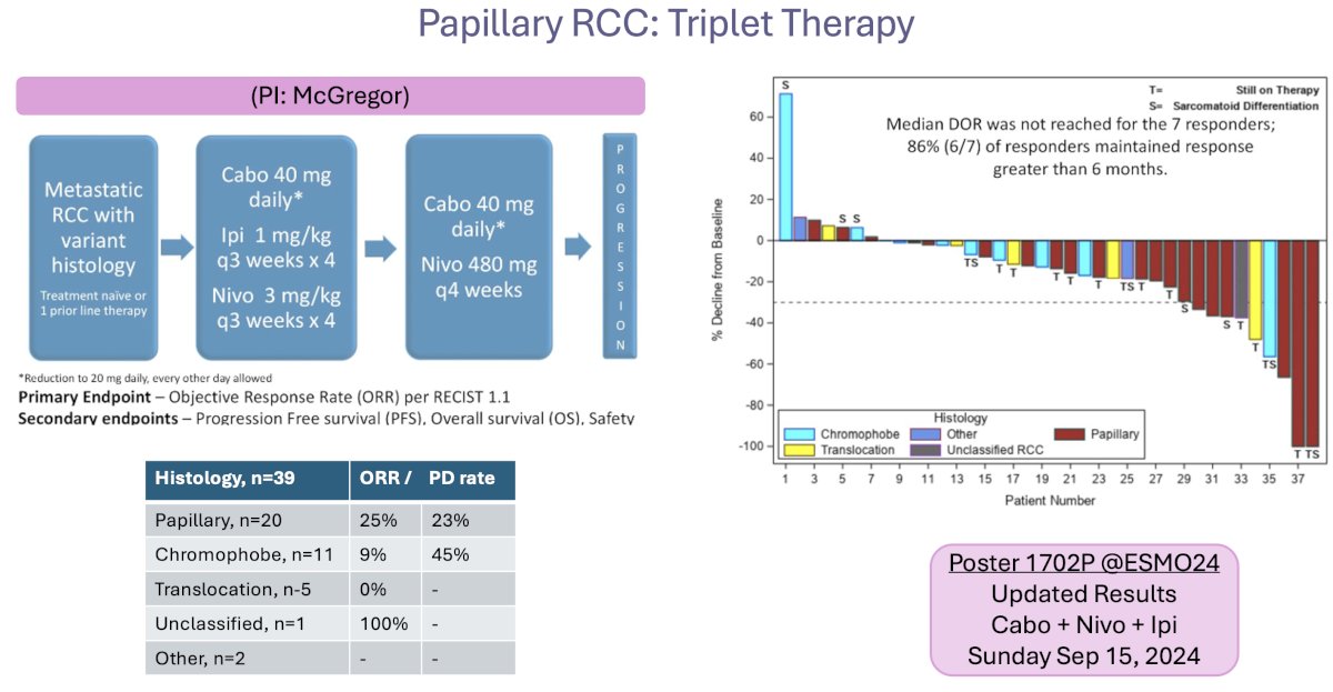 COSMIC 313 trial update