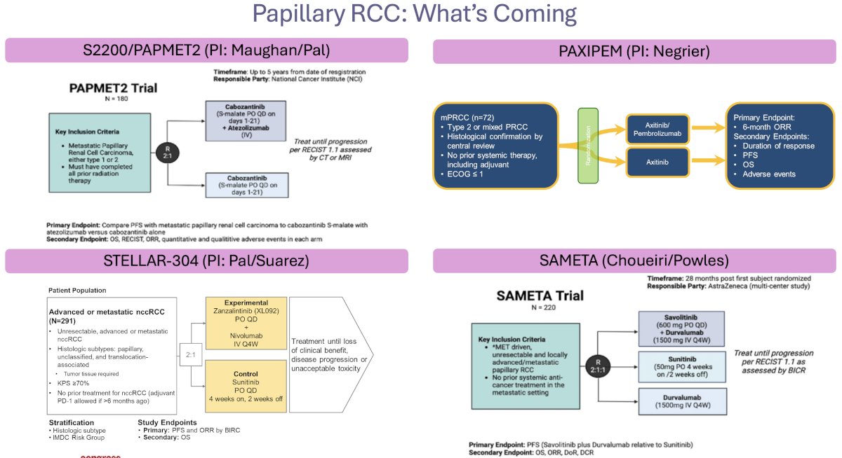 numerous ongoing trials in the papillary RCC disease space