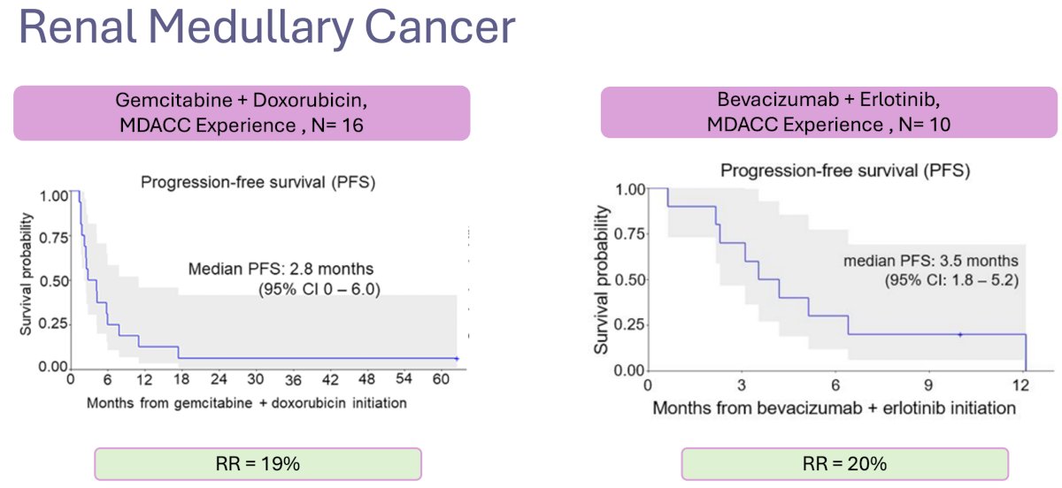 Renal medullary cancer