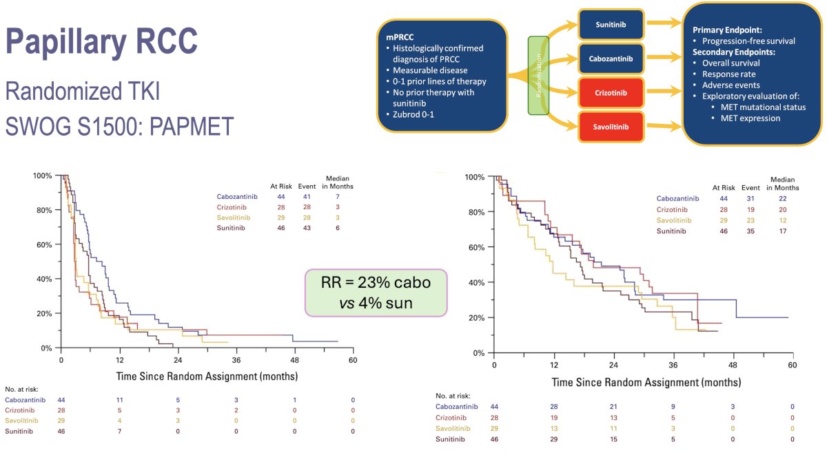 Cabozantinib was established as the preferred treatment option for patients with papillary RCC based on the results of the PAPMET phase II trial