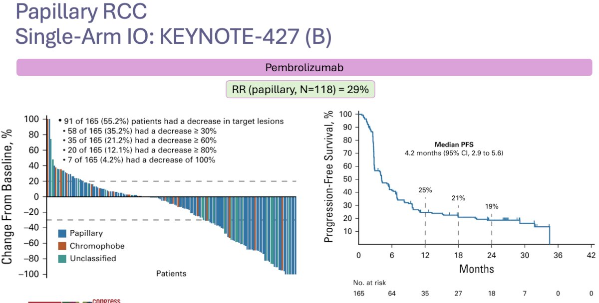 KEYNOTE-427 trial (cohort B) evaluated the efficacy and safety of single-agent pembrolizumab (anti-PD-1) in patients with metastatic nccRCC who had received no prior systemic therapy