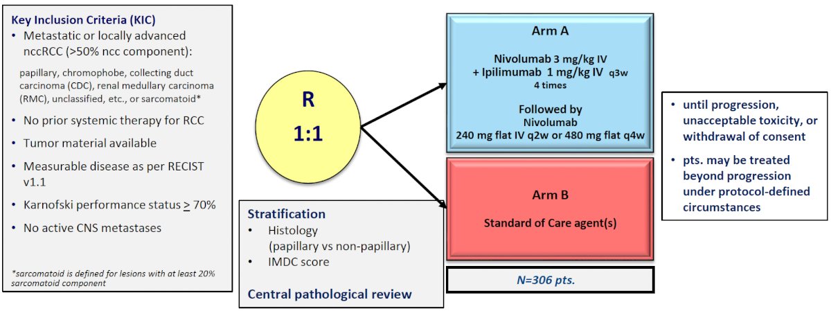 SUNNIFORECAST trial is comparing the combination of ipilimumab + nivolumab to standard of care (mainly sunitinib) in patients with nccRCC