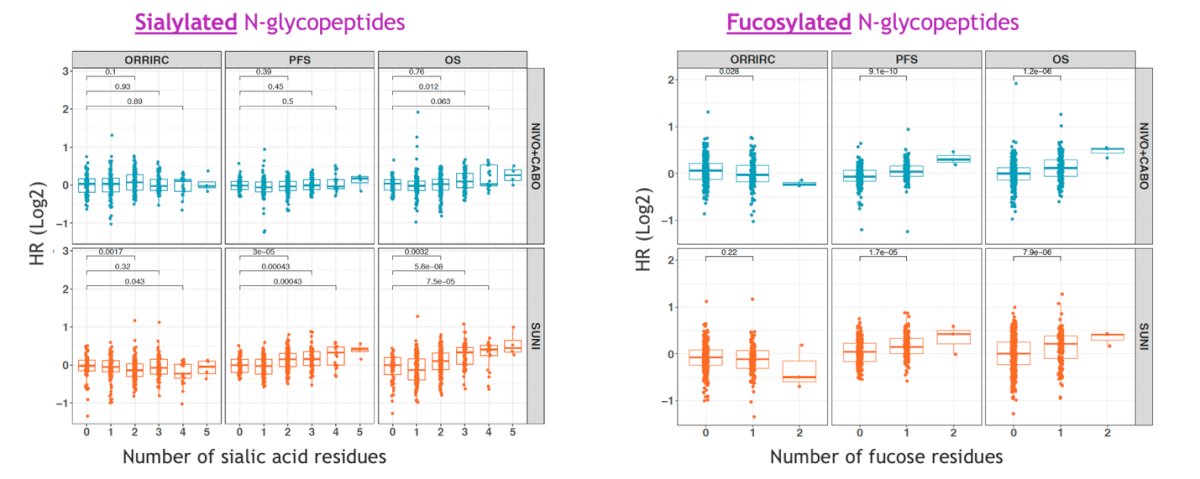  subjects with higher levels of sialylated and fucosylated glycans (n=283) had poorer PFS and OS with both Nivolumab + Cabozantinib and Sunitinib, suggesting a potential role of protein glycosylation in influencing therapeutic response