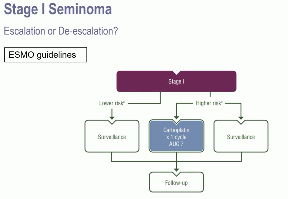 ESMO 2024_Terbuch_0