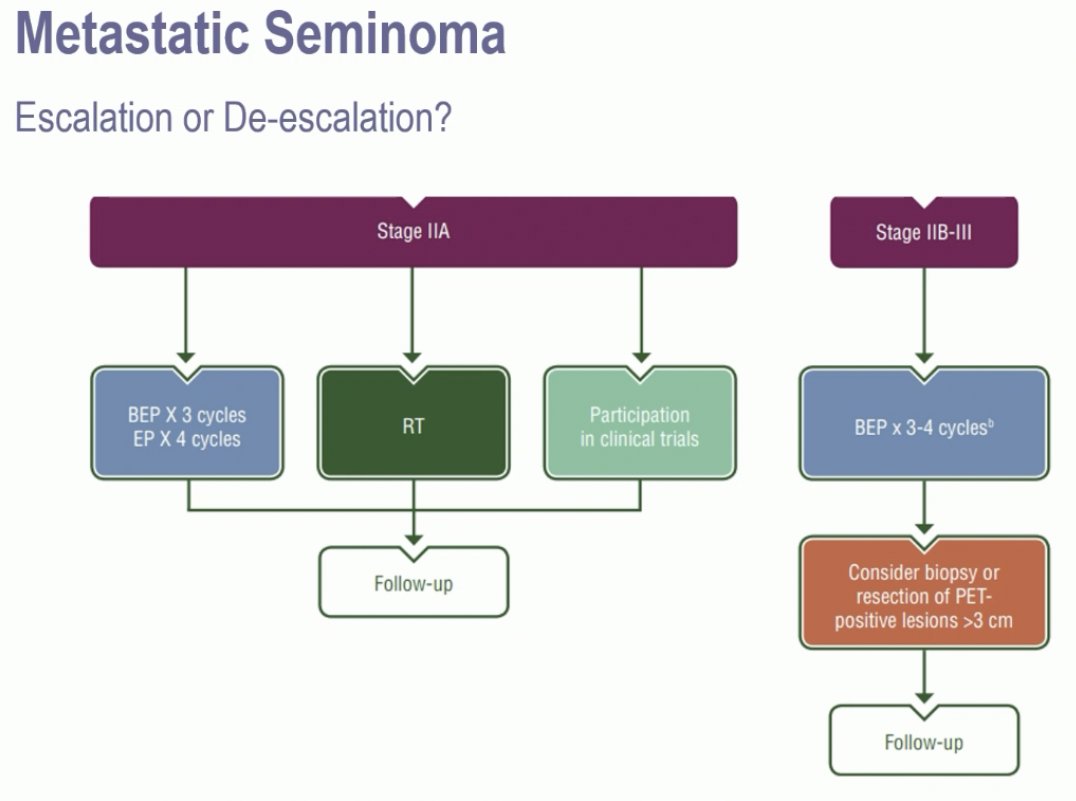 ESMO 2024_Terbuch_2