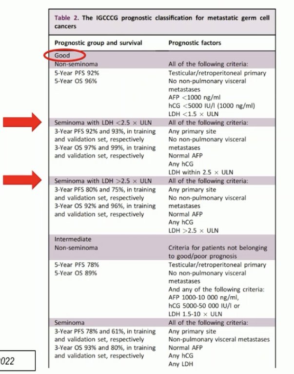 ESMO 2024_Terbuch_7