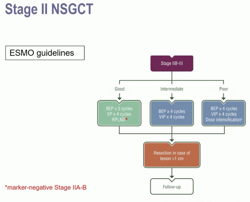 ESMO 2024_Terbuch_9