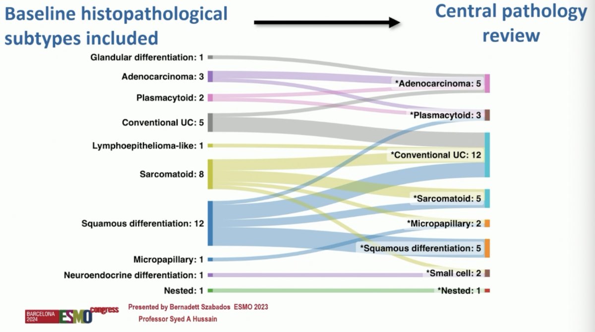 ESMO 2024_Syed A. Hussain_24