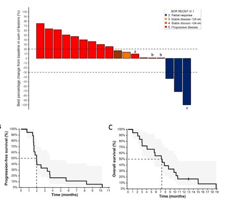 median progression-free survival was 2 months, and the median overall survival was 7.2 months. There was no grade 3–4 immune-related adverse events.