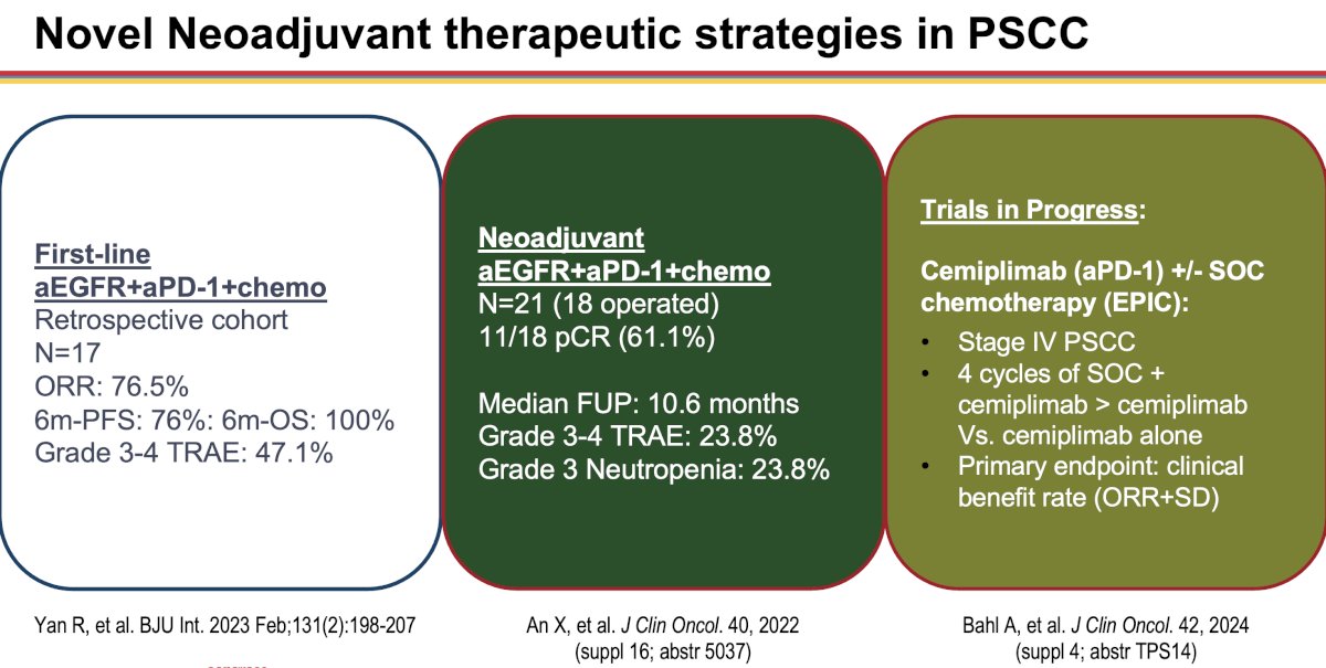 Additional novel neoadjuvant therapeutic strategies for penile squamous cell carcinoma patients are summarized