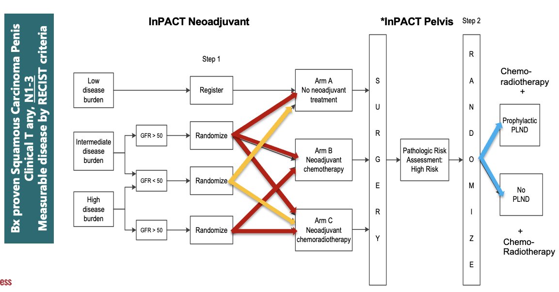 International Penile Advanced Cancer Trial (InPACT) ECOG-EA8134 trial