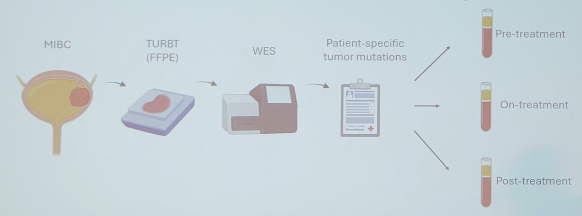 Signatera assay is a commercially available, tumor informed ctDNA assay approved for use in several cancer settings in the United States, and for bladder cancer is approved by Medicare in the peri-operative and surveillance settings