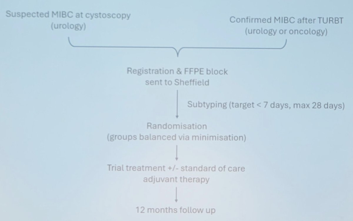 Secondary endpoints include 12 month disease free survival, overall survival, metastasis free survival, event free survival, quality of life, and tolerability + toxicity. The workflow for an individual patient in GUSTO