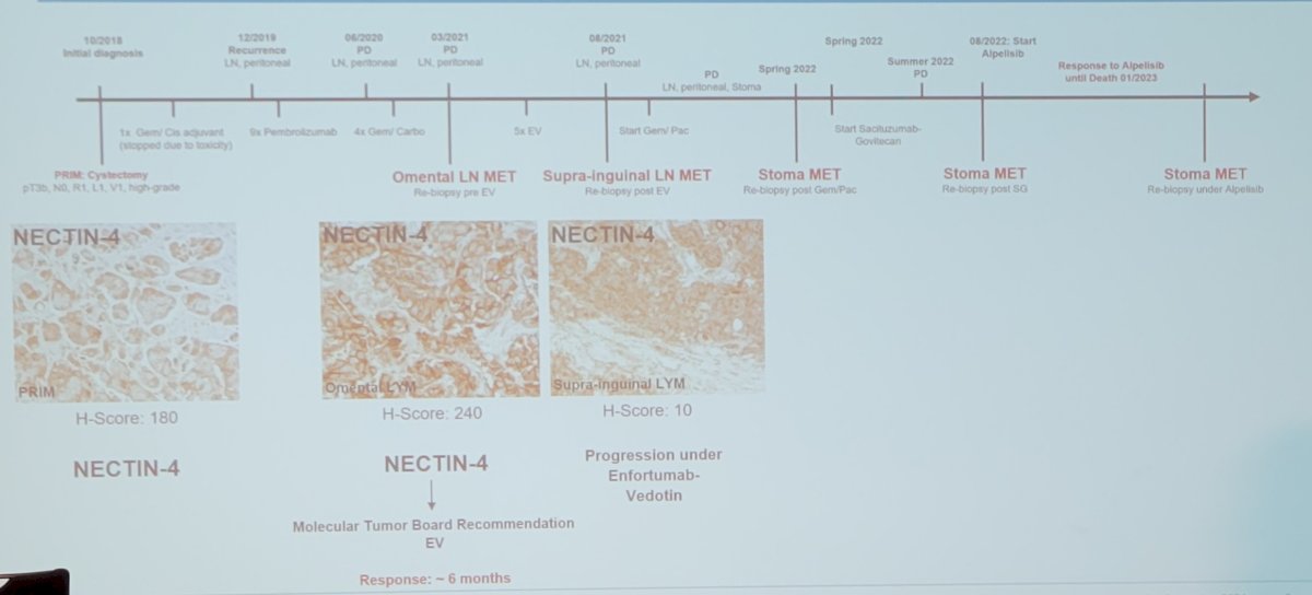 Resistance mechanisms to antibody-drug conjugates