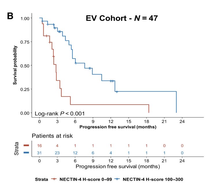 Absence or weak membranous nectin-4 expression (H-score 0-99) is associated with shorter progression-free survival with enfortumab vedotin