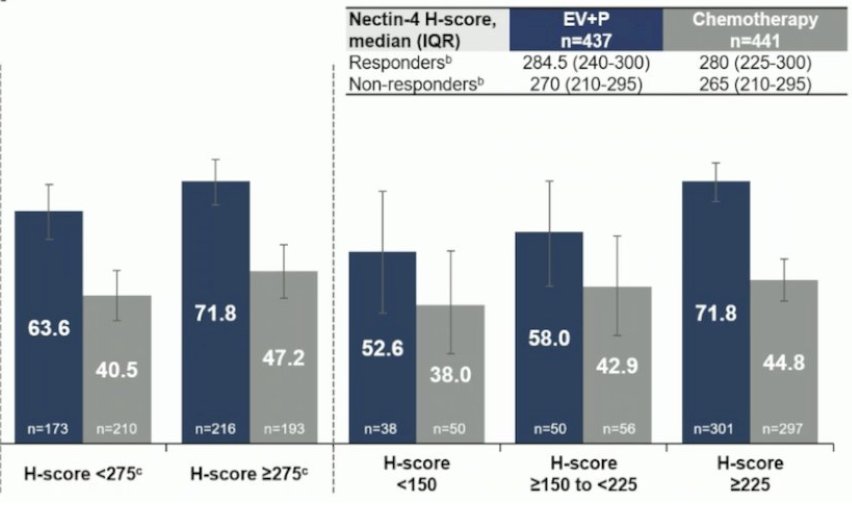 EV-302 cohort that there was a consistent objective response rate benefit with enfortumab vedotin + pembrolizumab across all Nectin-4 H-score subgroups