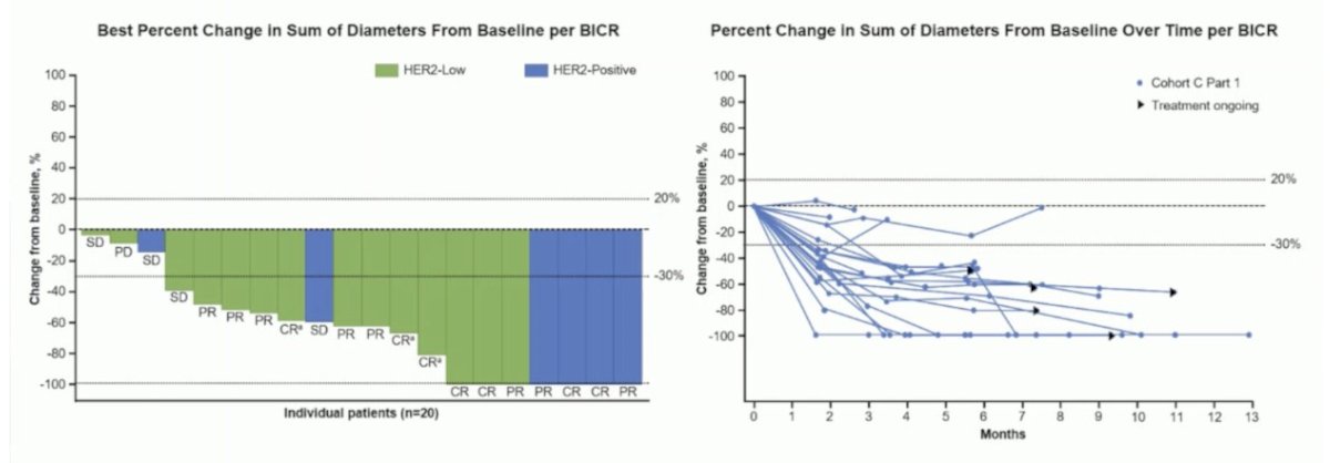 preliminary efficacy and safety of disitamab vedotin with pembrolizumab in the RC48G001 cohort study. Disitamab vedotin confirmed the objective response with the best percent change in the sum of the diameters of the tumors at baseline and confirmed the response in both the HER2-positive and HER2-low groups