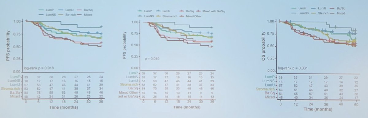 study found that the BaSq subtype (either pure or mixed) was associated with decreased progression free survival and overall survival compared to the other subtypes in the VESPER trial, regardless of the chemotherapy arm