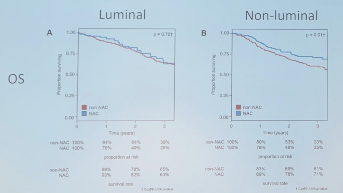 After controlling for clinicopathological variables, non-luminal tumors had greatest benefit from neoadjuvant chemotherapy, with 10% greater overall survival at 3 years (71% vs 61%), while luminal tumors had minimal benefit (63% vs 65%) for neoadjuvant chemotherapy vs non-neoadjuvant chemotherapy