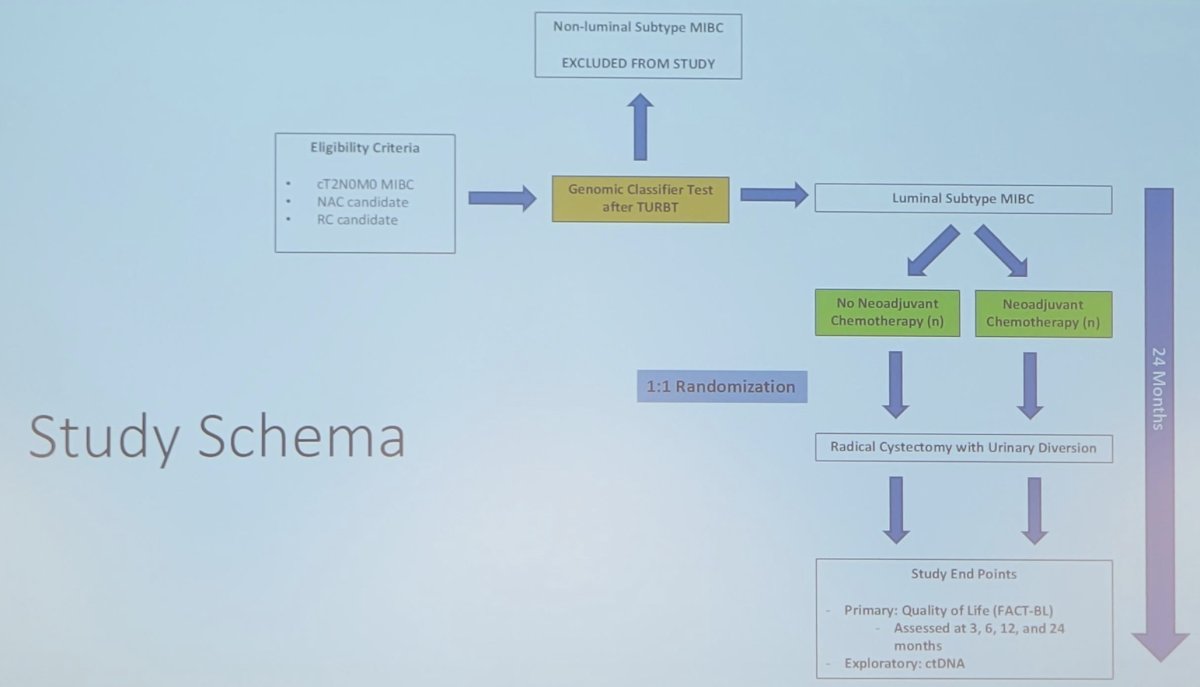 study schema for the LUMBAR-NAC trial