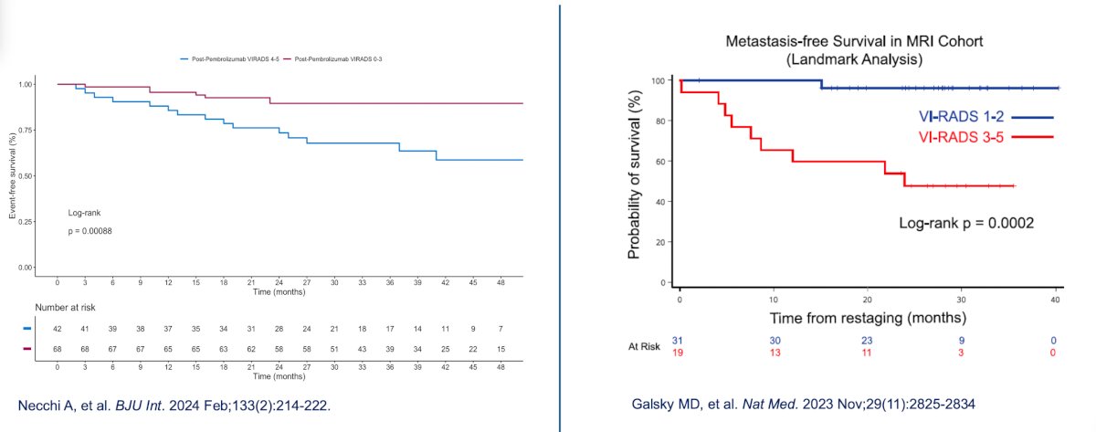 outcomes of adjuvant pembrolizumab in the PURE-01 trial stratified by VI-RADS 0-3 vs 4-5 are similar to those of adjuvant nivolumab + gemcitabine + cisplatin in the HCRN GU 16-257 trial assessing VI-RADS 1-2 versus 3-5