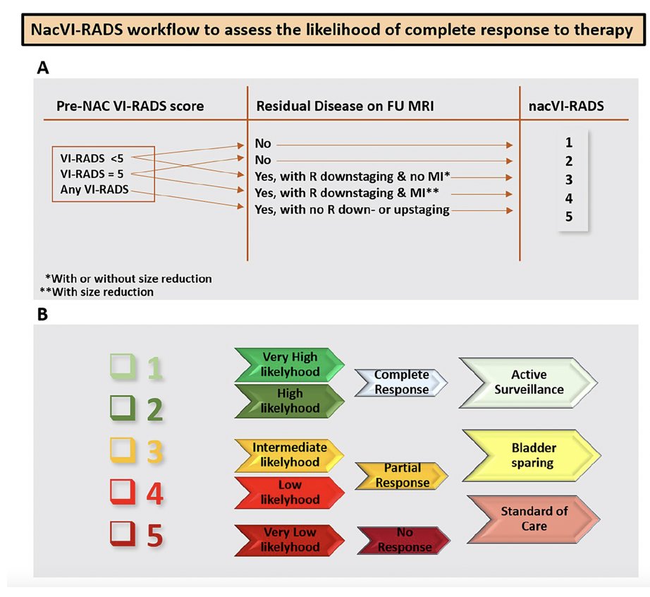 new nacVI-RADS system, using VI-RADS for therapeutic response assessment. The nacVI-RADS workflow to assess the likelihood of complete response to therapy is highlighted in the following figures