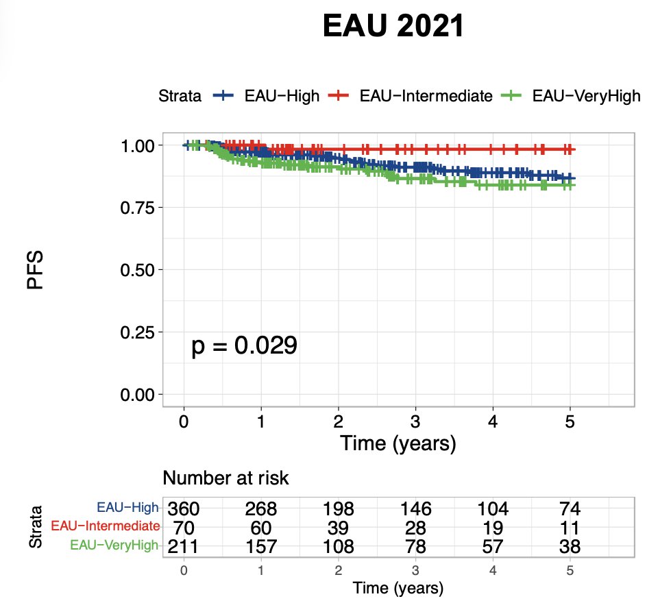 Artificial intelligence biomarkers performed independently of clinicopathologic risk factors for NMIBC and were superior to the EAU 2021 risk calculator in determining progression risk (vs EAU “very high risk” versus “high risk”: HR 1.51, p = 0.029)