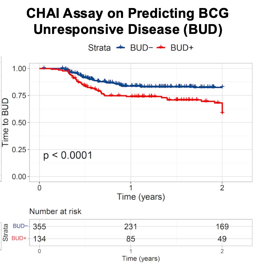 BCG unresponsive disease positive group also had shorter time to BCG unresponsive disease (HR 2.3, 95% CI 1.9-2.8 p<0.0001) versus the BCG unresponsive disease negative biomarker group