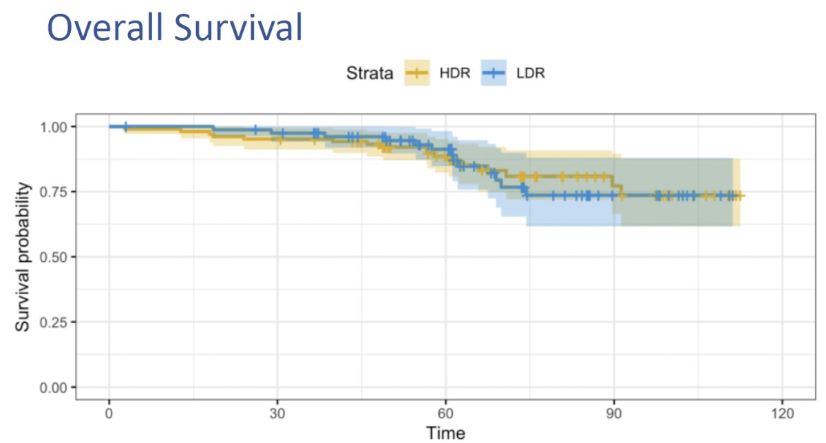 No differences in overall survival were observed between the two arms