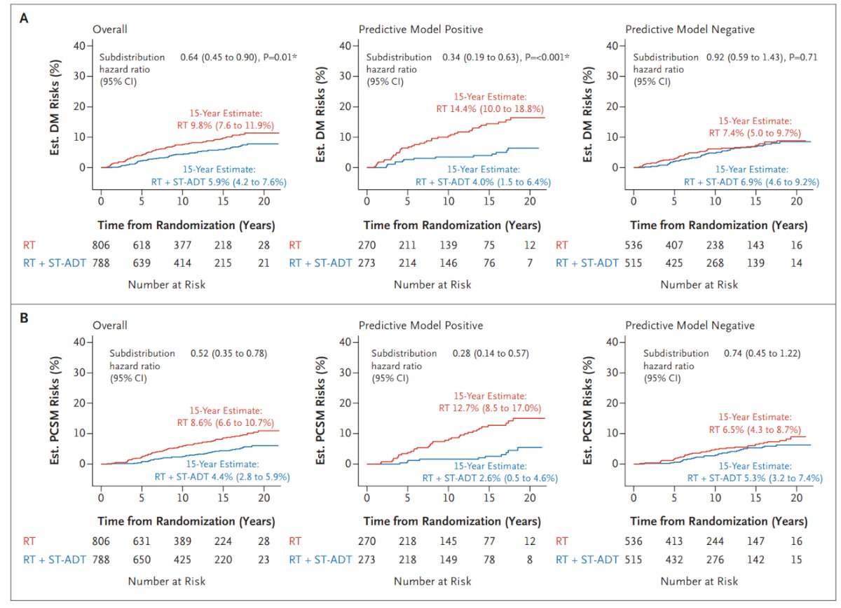 Patients with a positive MMAI predictive model who received short-term ADT had a significantly lower 15-year risk of distant metastasis and prostate cancer-specific mortality.