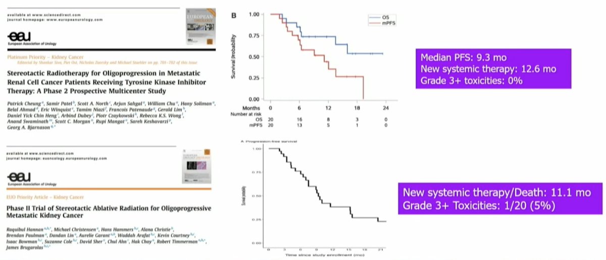 These two trials demonstrated similar results. The median progression-free survival was ~1 year, and the grade ≥3 toxicity rate was ≤5%