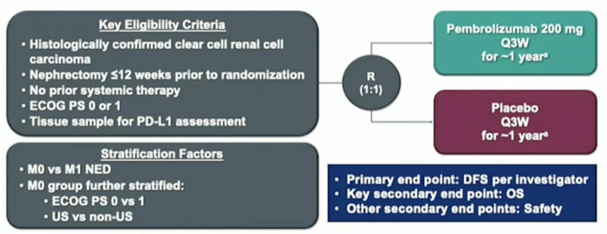 support MDT comes from the recently published KEYNOTE-564 trial of adjuvant pembrolizumab. In this trial, high-risk RCC patients who underwent a radical or partial nephrectomy were randomized to one year of pembrolizumab 200 mg IV every three weeks versus placebo