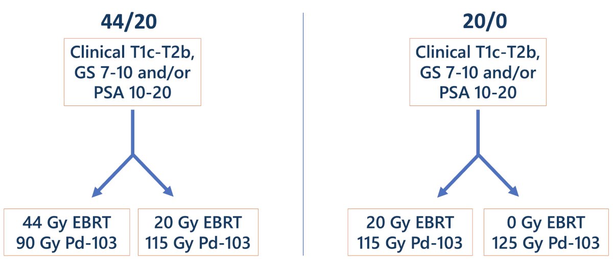  trial schema for RTOG 44/20 and 20/0