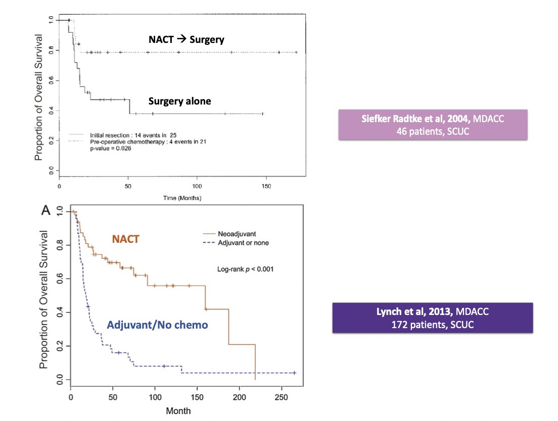 A historical series at MD Anderson Cancer Center from 2004 notes that among 46 patients, neoadjuvant chemotherapy followed by surgery improved survival compared to surgery alone