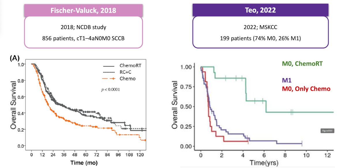 The second question in a treatment decision is whether or not local therapy is needed. Both an NCDB and Memorial Sloan Kettering Cancer Center showed that chemotherapy + local therapy is better than chemotherapy alone