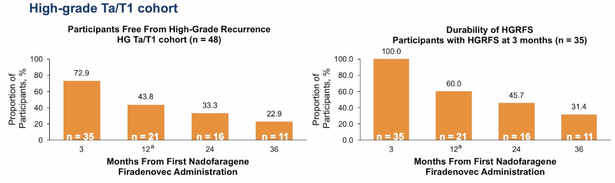 72.9% of participants (35 out of 48) in the high-grade Ta/T1 cohort were high-grade recurrence free by month 3 after the first dose of nadofaragene firadenovec