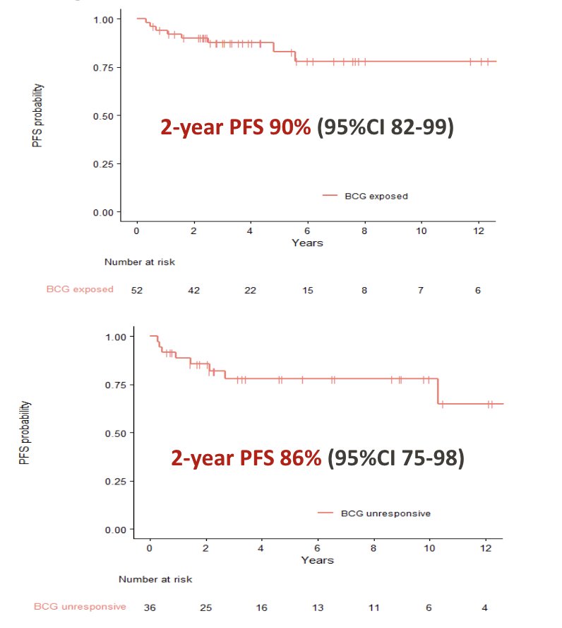 At the 2-year landmark analysis, for BCG exposed patients, progression free survival was 90% (95% CI 82-99) and for BCG unresponsive patients was 86% (95% CI 75-98)