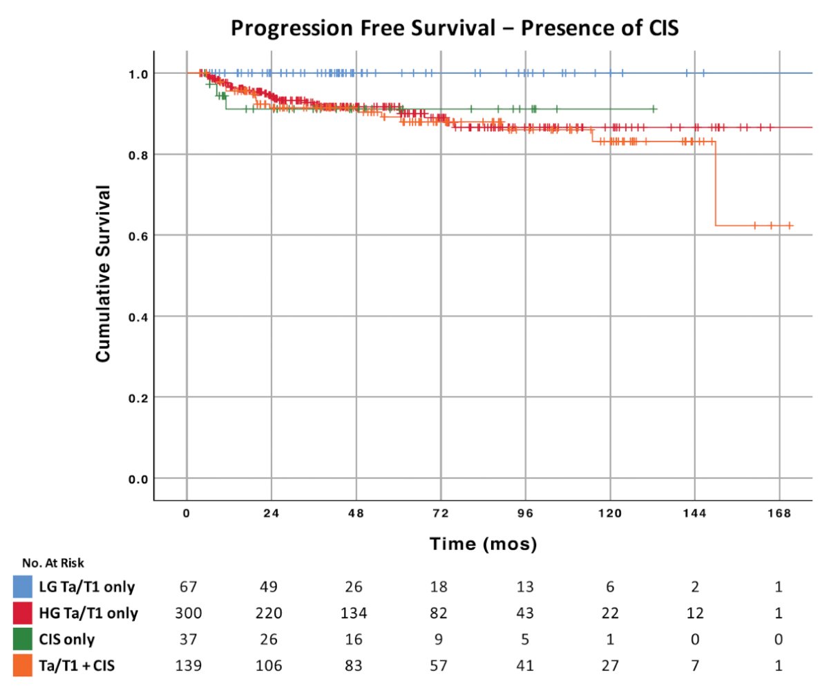 Progression to muscle invasion at 5 years was exclusively seen in patients with high risk disease (progression-free survival 91%; log-rank test, p = 0.024)