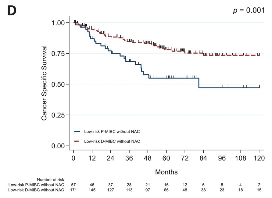 the importance of why disease progression after BCG matters.3 Among 801 patients who underwent radical cystectomy, 20.3% had progressive muscle invasive bladder cancer and 79.7% had de novo muscle invasive bladder cancer