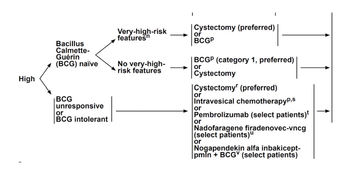 radical cystectomy is the preferred option for BCG naïve patients with very high risk features, as well as for BCG unresponsive or intolerant patients